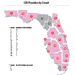 Circle of Security (COS) Providers by Circuit; Number of COS Providers &mdash; Circuit 1: 6; Circuit 2: 11; Circuit 4: 2; Circuit 5: 3; Circuit 6: 12; Circuit 7: 3; Circuit 9: 10; Circuit 10: 1; Circuit 11: 7; Circuit 12: 15; Circuit 13: 9; Circuit 14: 2; Circuit 15: 14; Circuit 17: 6; Circuit 18: 1; Circuit 19: 2; Circuit 20: 1; Circuit 3: No Providers on Record; Circuit 8: No Providers on Record; Circuit 16: No Providers on Record