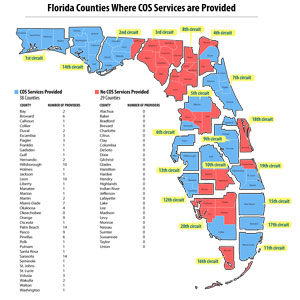 Circle of Security (COS) Providers by County